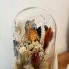 La cloche "Joli Bird - Troglodyte Mignon"