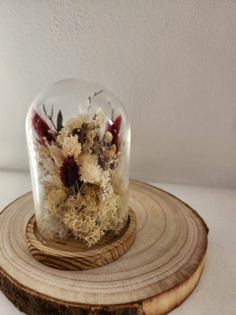 La mini cloche Bordeaux