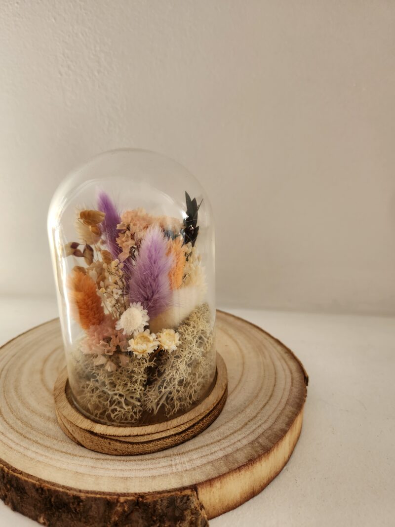 La mini cloche Spring